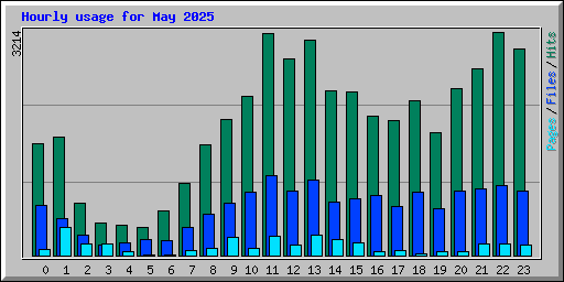 Hourly usage for May 2025