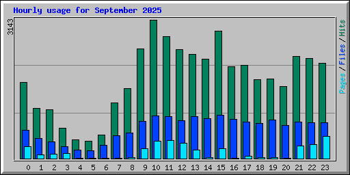 Hourly usage for September 2025